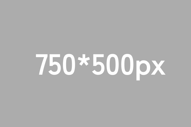2026年度内定式を開催いたしました