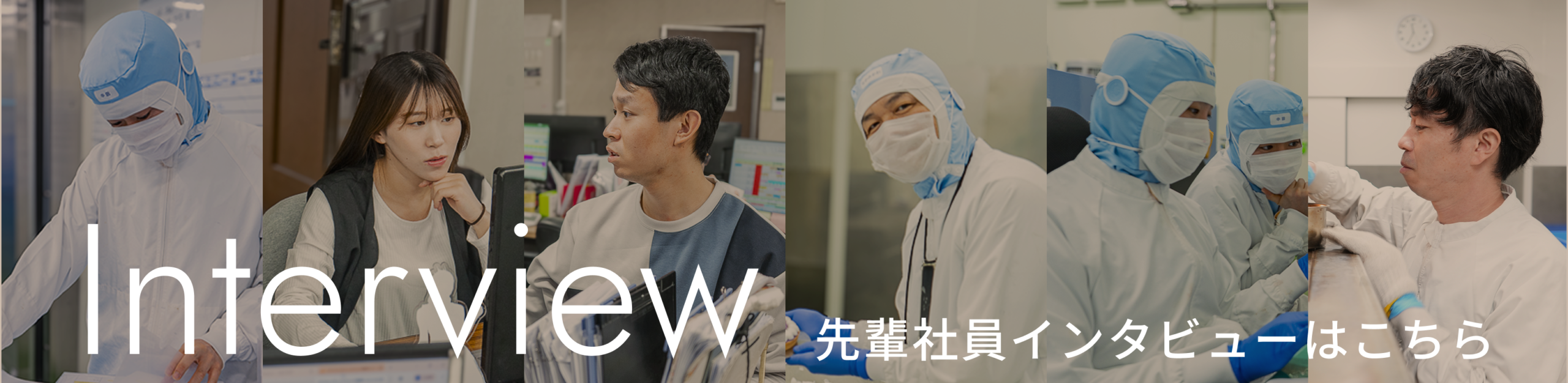 先輩社員インタビュー